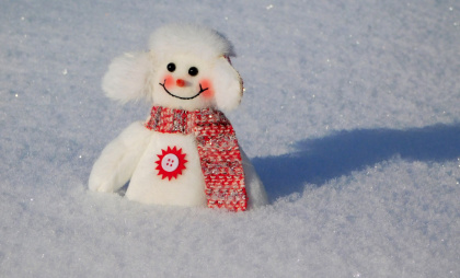 Погода в Брянской области 12 февраля: ожидаются снег, гололёд и порывистый ветер